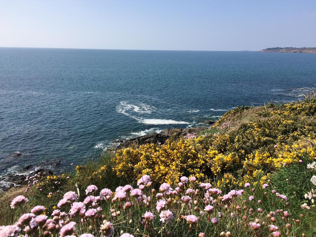 La Belle Relax - Calme Et Tranquillite Assures - 2 Personnes Bed & Breakfast Moelan-sur-Mer Exterior photo