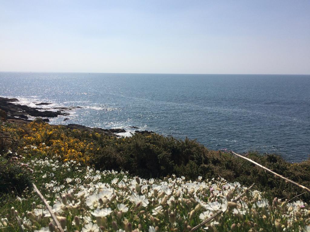 La Belle Relax - Calme Et Tranquillite Assures - 2 Personnes Bed & Breakfast Moelan-sur-Mer Exterior photo