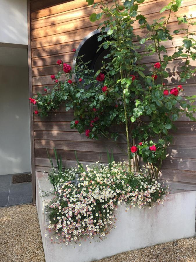 La Belle Relax - Calme Et Tranquillite Assures - 2 Personnes Bed & Breakfast Moelan-sur-Mer Exterior photo